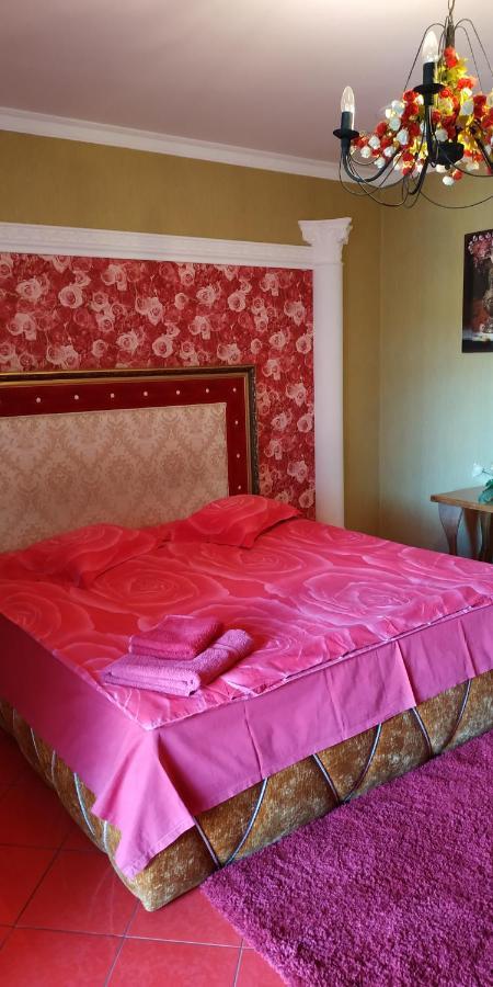 Хуторок Hotell Smila Eksteriør bilde